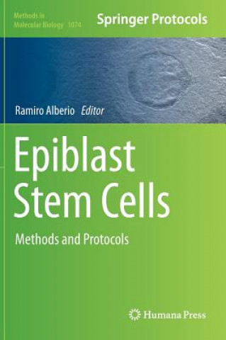 Kniha Epiblast Stem Cells Ramiro Alberio