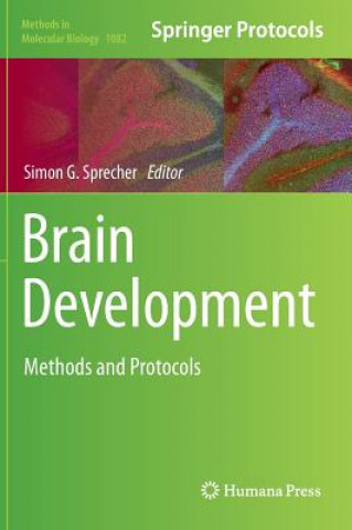 Buch Brain Development Simon G. Sprecher