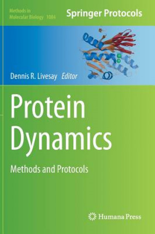 Kniha Protein Dynamics Dennis R. Livesay
