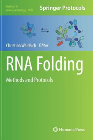 Książka RNA Folding Christina Waldsich