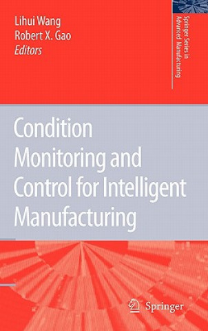 Kniha Condition Monitoring and Control for Intelligent Manufacturing Lihui Wang
