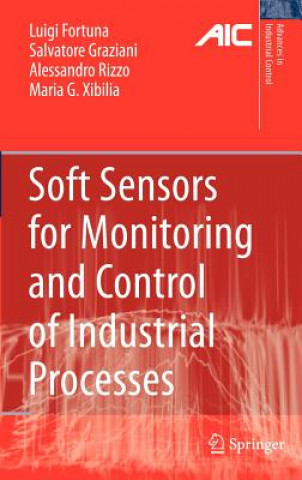 Könyv Soft Sensors for Monitoring and Control of Industrial Processes Luigi Fortuna