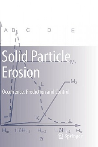 Книга Solid Particle Erosion Ilmar Kleis