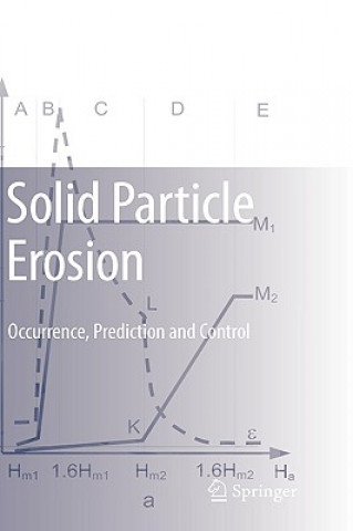 Knjiga Solid Particle Erosion Ilmar Kleis