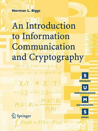 Książka Codes: An Introduction to Information Communication and Cryptography Norman L. Biggs