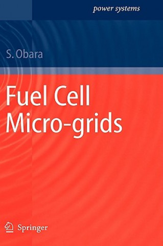 Kniha Fuel Cell Micro-grids Shin´ya Obara