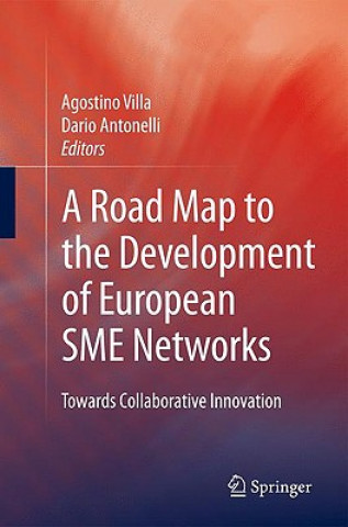 Könyv Road Map to the Development of European SME Networks Agostino Villa