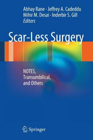Könyv Scar-Less Surgery Abhay Rané