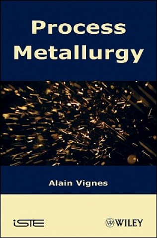 Kniha Extractive Metallurgy - V 1 Alain Vignes