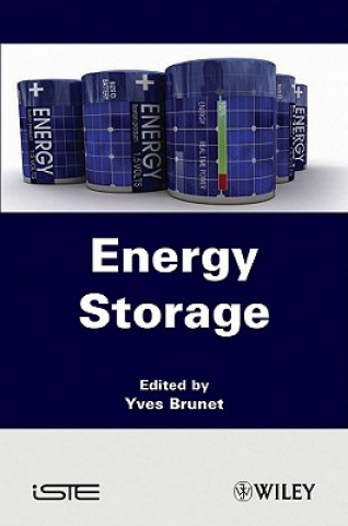 Könyv Energy Storage Yves Brunet