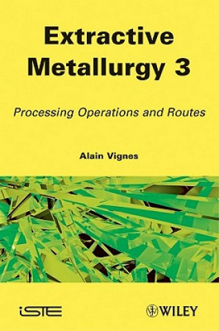 Könyv Extractive Metallurgy 3 Alain Vignes