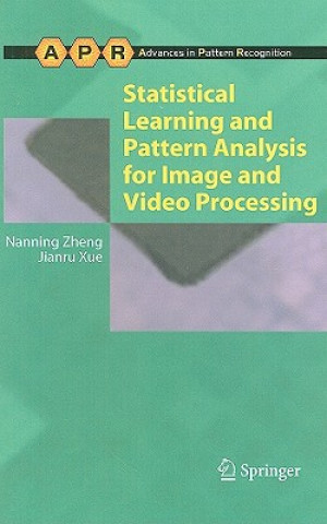 Книга Statistical Learning and Pattern Analysis for Image and Video Processing Nanning Zheng