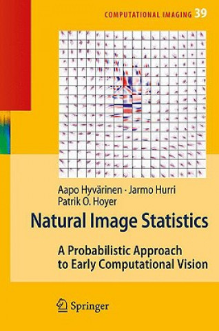 Carte Natural Image Statistics Aapo Hyvärinen