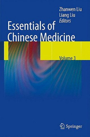 Kniha Essentials of Chinese Medicine Zhanwen Liu