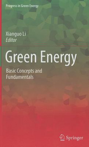 Kniha Green Energy Xianguo Li