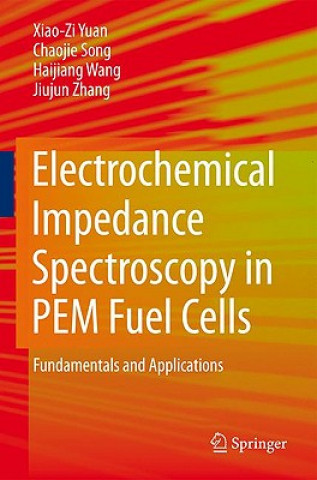 Könyv Electrochemical Impedance Spectroscopy in PEM Fuel Cells Xiao-Zi Yuan