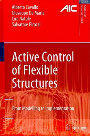 Libro Active Control of Flexible Structures Alberto Cavallo
