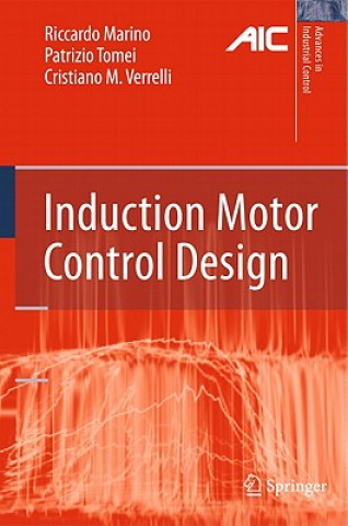 Kniha Induction Motor Control Design Riccardo Marino