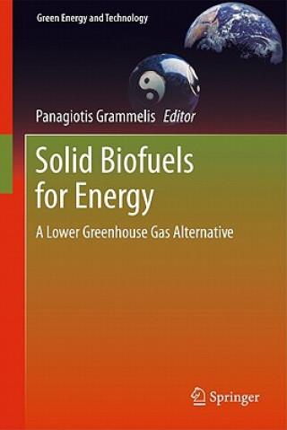 Kniha Solid Biofuels for Energy Panagiotis Grammelis