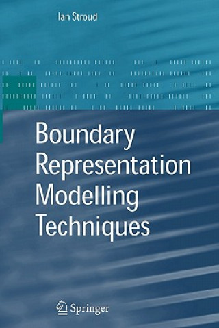 Carte Boundary Representation Modelling Techniques Ian Anthony Stroud