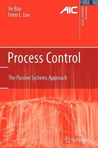 Knjiga Process Control Jie Bao