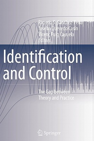 Könyv Identification and Control Ricardo S. Sánchez-Pe