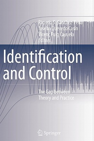 Книга Identification and Control Ricardo S. Sánchez-Pe