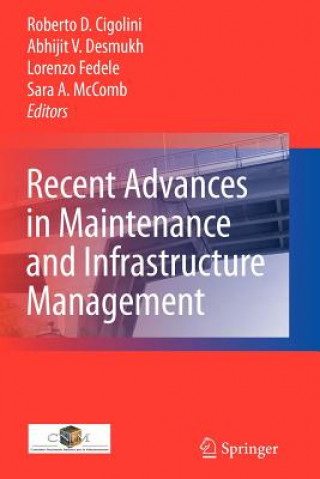 Kniha Recent Advances in Maintenance and Infrastructure Management Roberto Davide Cigolini