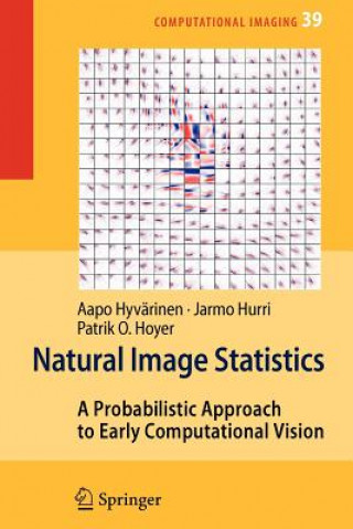 Könyv Natural Image Statistics Aapo Hyvärinen