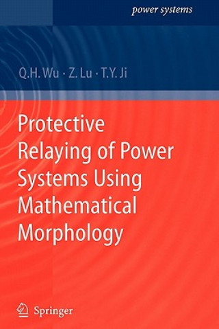 Kniha Protective Relaying of Power Systems Using Mathematical Morphology Q.H. Wu
