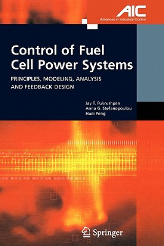 Kniha Control of Fuel Cell Power Systems Jay T. Pukrushpan