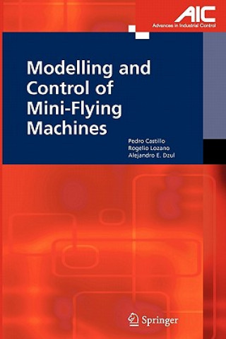 Könyv Modelling and Control of Mini-Flying Machines Pedro Castillo Garcia
