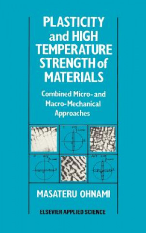 Könyv Plasticity and High Temperature Strength of Materials M. Ohnami
