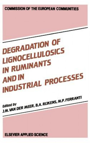 Carte Degradation of Lignocellulosics in Ruminants and in Industrial Processes J. M. van der Meer