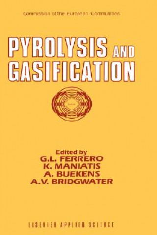 Kniha Pyrolysis and Gasification G.L. Ferrero