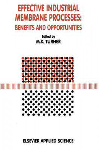 Book Effective Industrial Membrane Processes: Benefits and Opportunities M.K. Turner