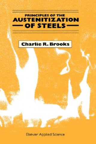 Książka Principles of the Austenitization of Steels C. R. Brooks