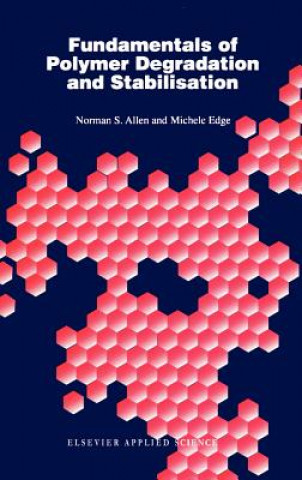 Carte Fundamentals of Polymer Degradation and Stabilization N. S. Allen