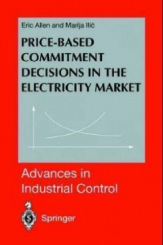 Könyv Price-Based Commitment Decisions in the Electricity Market Eric Allen