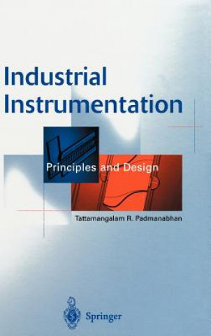 Kniha Industrial Instrumentation Tattamangalam R. Padmanabhan