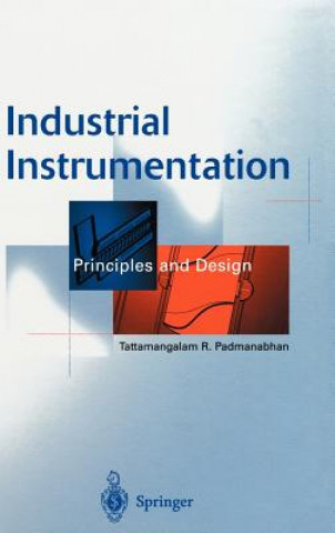 Buch Industrial Instrumentation Tattamangalam R. Padmanabhan