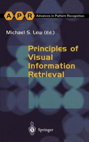 Kniha Principles of Visual Information Retrieval Michael S. Lew