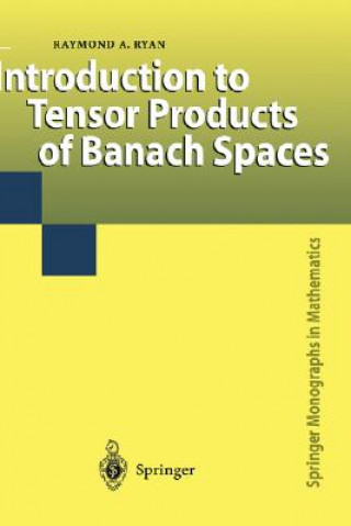 Kniha Introduction to Tensor Products of Banach Spaces Raymond A. Ryan