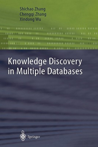Książka Knowledge Discovery in Multiple Databases Shichao Zhang