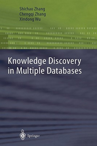 Kniha Knowledge Discovery in Multiple Databases Shichao Zhang