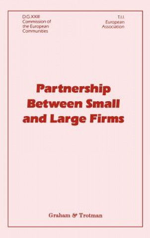 Kniha Partnership Between Small and Large Firms J.M. Gibb