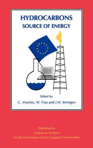 Livre Hydrocarbons: Source of Energy G. Imarisio