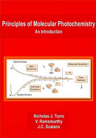 Könyv Principles of Molecular Photochemistry: An Introduction Nicholas J. Turro