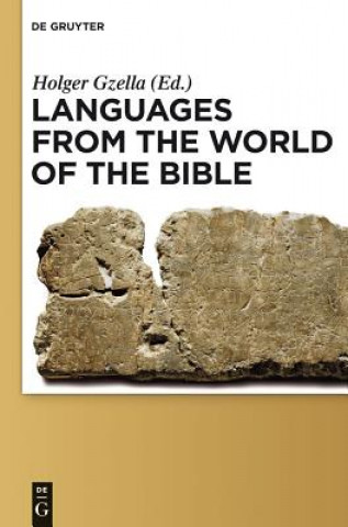 Kniha Languages from the World of the Bible Holger Gzella