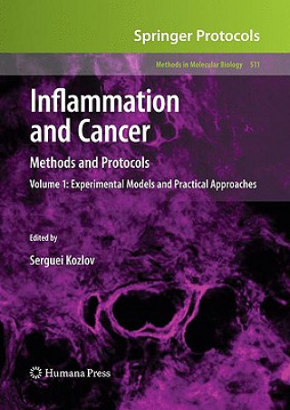 Könyv Inflammation and Cancer Serguei V. Kozlov
